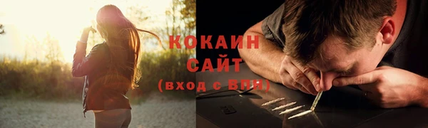 ГАЛЛЮЦИНОГЕННЫЕ ГРИБЫ Абаза