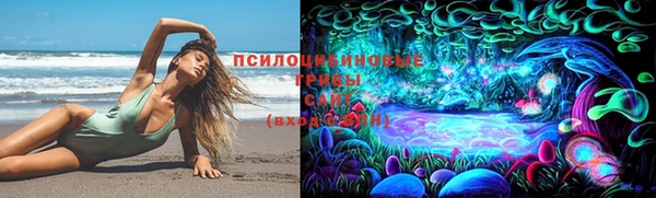 дживик Няндома