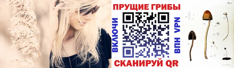 Псилоцибиновые грибы Psilocybine cubensis  даркнет состав  Красный Сулин 